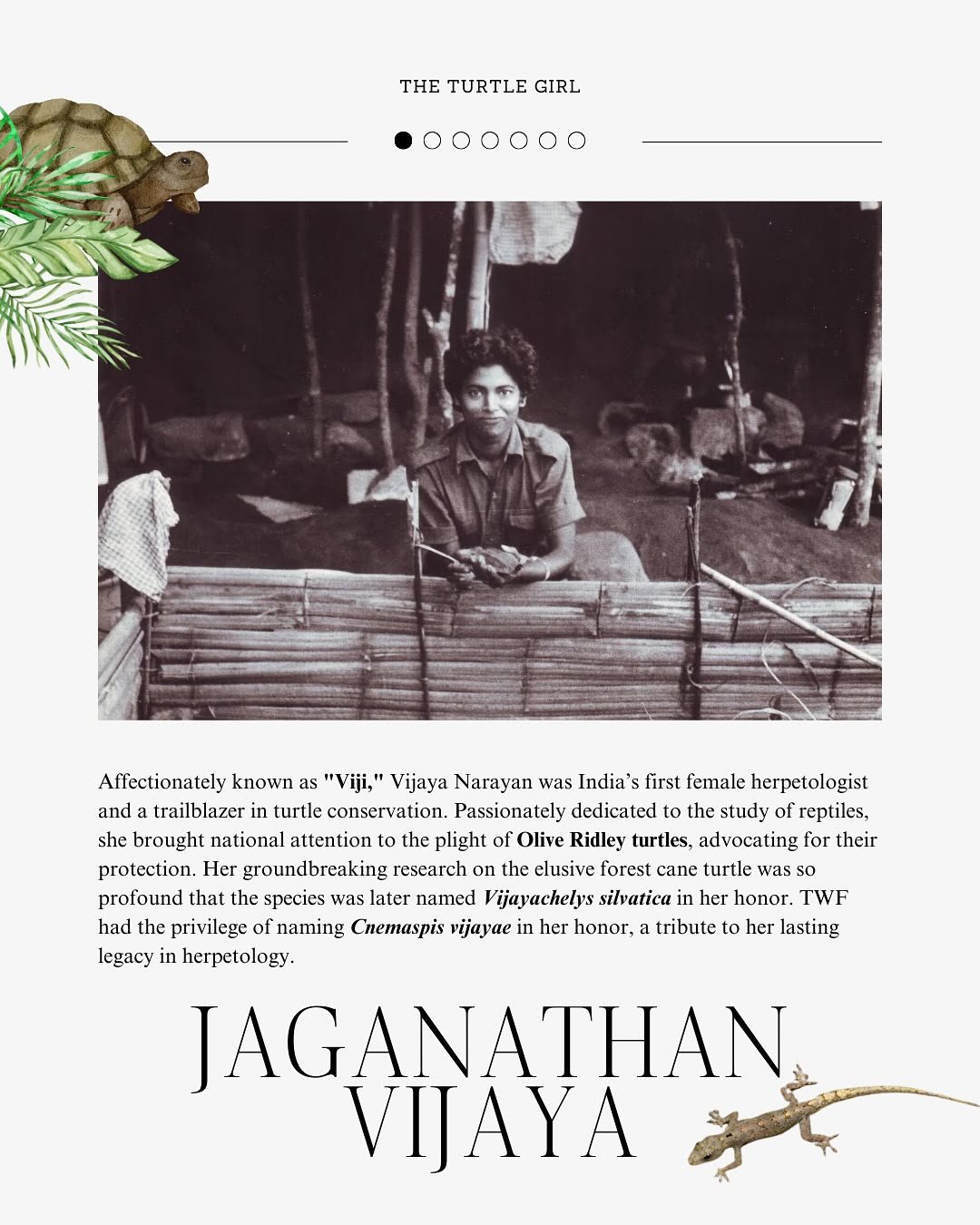 The Turtle Girl — Jaganathan Vijaya biographical post